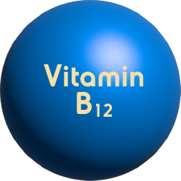 Help Website Design Products Inernational Market_Nutraceuticals 15